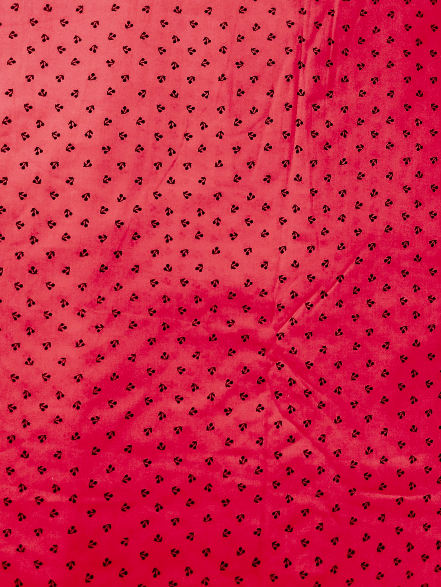 Buy Poplin Print Fabric