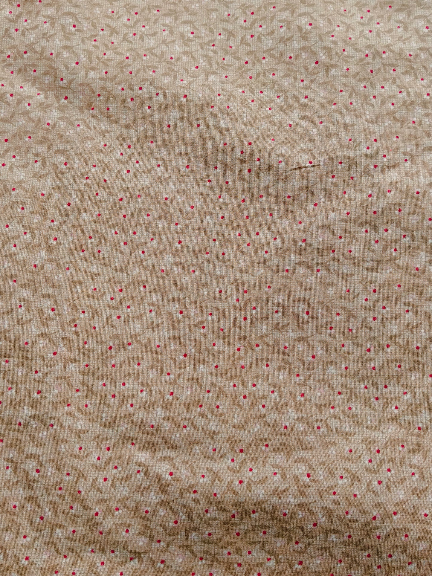 Buy Cotton Poplin Ditsy Floral Print Fabric